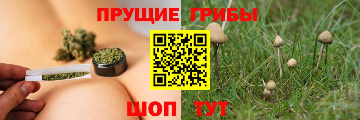 Конаково  Псилоцибиновые грибы Magic Shrooms  Вход с VPN 