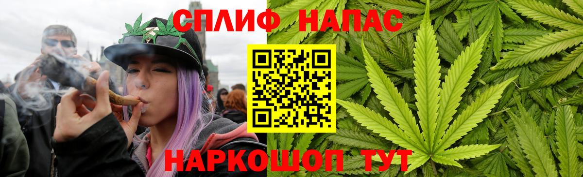 Шишки марихуана MAZAR  Шишки марихуана AK-47  Конаково  МАРИХУАНА план  Вход с VPN 